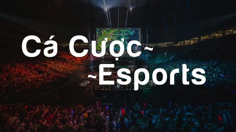 E-Sport W88: Nơi Kết Nối E-Sport và Người Chơi